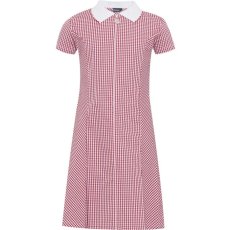 Gingham Zip Front School Summer Dress (Avon) Gingham Zip Front School Summer Dress (Avon)