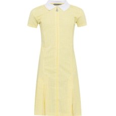 Gingham Zip Front School Summer Dress (Avon) Gingham Zip Front School Summer Dress (Avon)