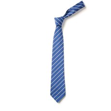 Salcombe Primary Tie Salcombe Primary Tie