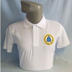 Broadclyst Day Polo