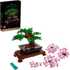 Bonsai Tree Bonsai Tree
