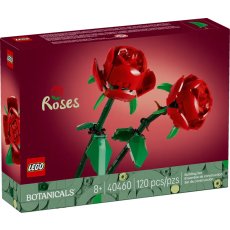 Roses Roses