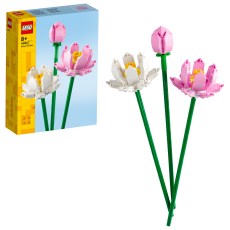 Lotus Flowers Lotus Flowers