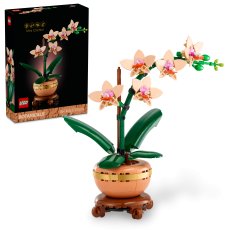 Mini Orchid Mini Orchid