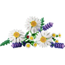Daisies Daisies
