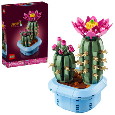 Flowering Cactus Flowering Cactus