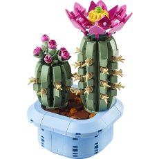 Flowering Cactus Flowering Cactus