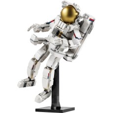 Space Astronaut Space Astronaut
