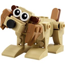 Gift Animals Gift Animals
