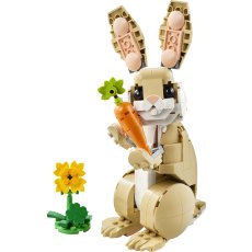 Cute Bunny Cute Bunny