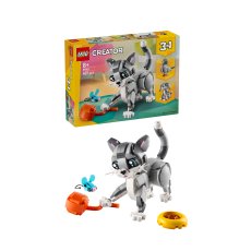 Playful Cat Playful Cat