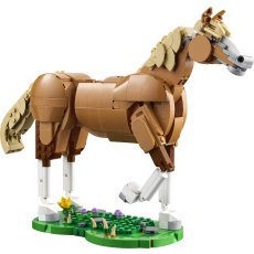 Beautiful Horse Beautiful Horse