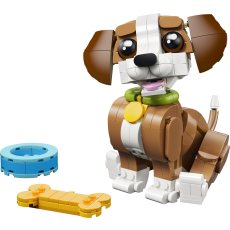 Cute Animals: Playful Puppy Dog Cute Animals: Playful Puppy Dog