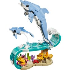Sea Animals: Beautiful Dolphins Sea Animals: Beautiful Dolphins
