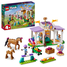 Horse Training Horse Training