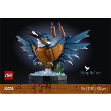 Kingfisher Bird Kingfisher Bird