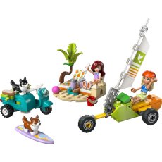 Surfing Dogs and Scooter Adventure Surfing Dogs and Scooter Adventure