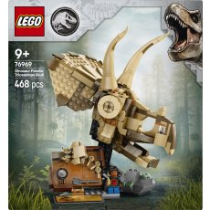 Dinosaur Fossils: Triceratops Skull Dinosaur Fossils: Triceratops Skull
