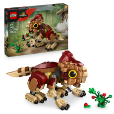 Baby Dinosaur Dolores: Aquilops