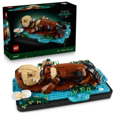 Floating Sea Otters Floating Sea Otters