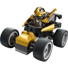 Ninja Coles Car