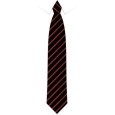St Thomas of Canterbury Primary Tie