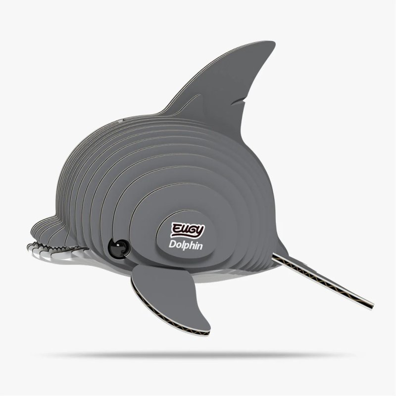 021 Dolphin 1 2025 08