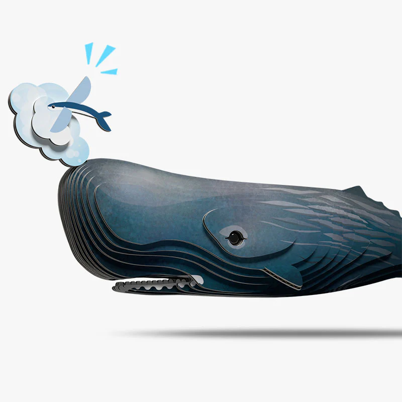 092 Sperm Whale 1 2025 07