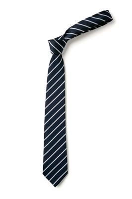 Navy/White