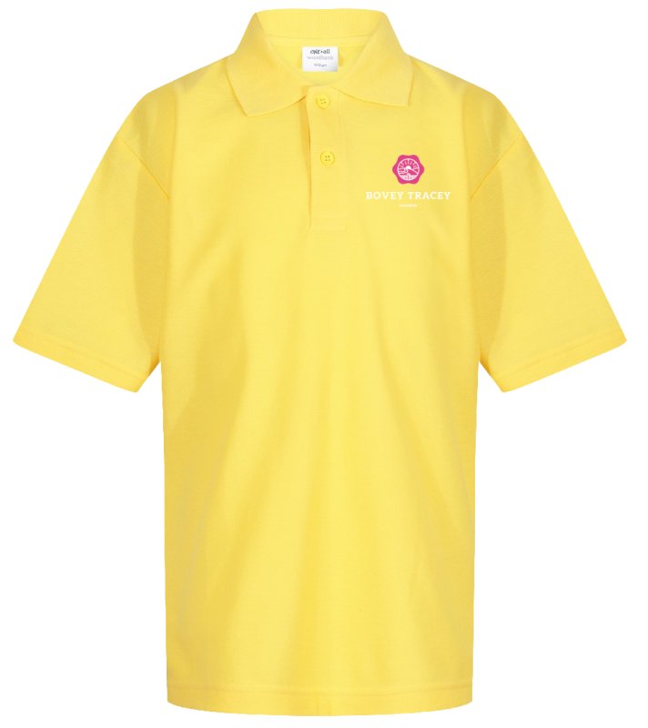 bovey tracey polo