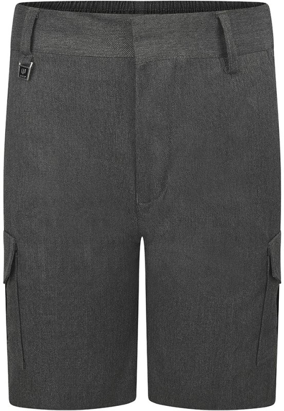 bs3077-gry