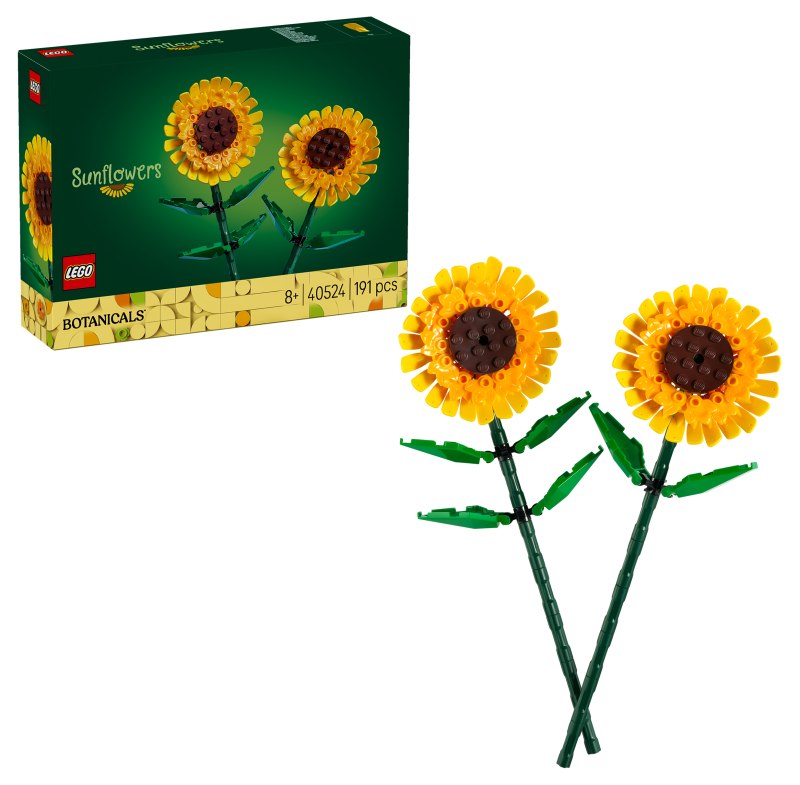 40524 boxprod v29 WE