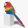 023 Parrot 4 2025 08
