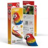 023 Parrot Packaging 2025 08