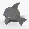 021 Dolphin 4 2025 08