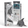 021 Dolphin Packaging 2025 08