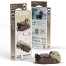 060 Sea Otter Packaging 2025 08