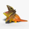 108 Frilled Lizard 4 2025 08