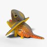 108 Frilled Lizard 5 2025 08