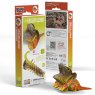 108 Frilled Lizard PAckaging 2025 08