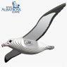 097 Royal Albatross 2 2025 08