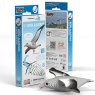 097 Royal Albatross Packaging 2025 08