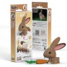 071 Rabbit Packaging 2025 08