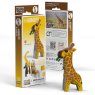 009 Giraffe Packaging 2025 08