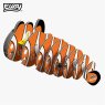 037 Clownfish Exploded 2025 08