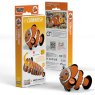 037 Clownfish Packaging 2025 08
