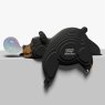 081 Black Bear 3 2025 08
