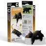 081 Black Bear Packaging 2025 08