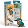 121 Kingfisher Packaging 2025 08