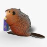 127 Beaver 4 2025 08